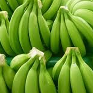 Chuối già Nam Mỹ